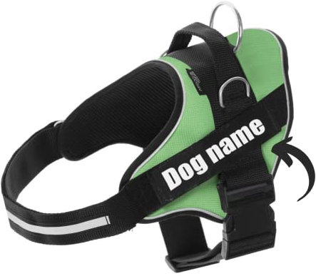 Personalisiertes Hundegeschirr - Reflektierendes und sicheres Hundegeschirr - Enthält 2 Namensschilder, Klein, Mittel und Groß - Qualität und Beständigkeit (Verde, S 6-14KG)