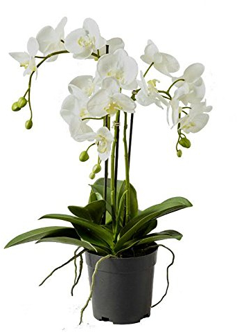 Orchidea artificiale in vaso, decorazione orchidea artificiale, fiori bianchi e gemme verdi, realistica e di alta qualità, orchidea decorativa, altezza: 55 cm, pianta in vaso/pianta decorativa