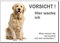 Golden Retriever-Hier wache ich- Hund-Schild-Hundeschild-300 x 200 x 3 mm-Aluminium-Tierschild-Warnschild-Hinweisschild (1451-114 =300 x 200 mm mit Löcher)