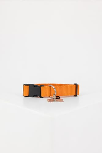 Alpha Industries Basic Dog-Tag Collar stylisches Hunde-Halsband Alpha Orange