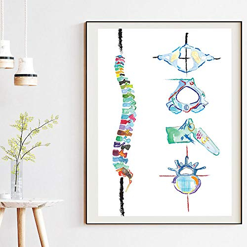 Ling88 Kunstdruck, Anatomie der menschlichen Wirbelsäule, Wandkunst, Leinwanddruck, Aquarell, 70L x 50B cm, gerahmt, Wohnzimmer, Poster