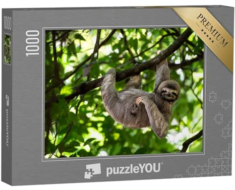 puzzleYOU: Puzzle 1000 Teile „Niedliches Faultier in Perfekter Pose am Baum“ – aus der Puzzle-Kollektion Faultiere, Exotische Tiere & Trend-Tiere
