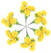 MOBUTOFU 6 Künstliche Blumenstrauß Layouts Friedhofs Chrysanthemen Requisite Grabblumen Für Friedhofs Strauß Zum Opfern Künstliche Blumen Friedhofs Chrysanthemen Strauß Opfer Fake