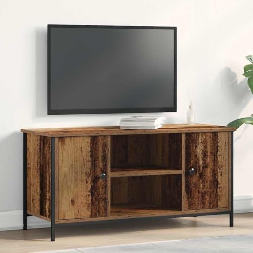Wynira TV-Schränk Altholz Holzwerkstoff 100 x 40 x 50 cm mit 2 Türen und Regal, modernes Lowboard für Wohnzimmer, Medienkonsole und Stauraum, geeignet als HiFi Rack und Aufbewahrung