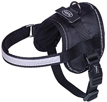 Nobby Geschirr Seguro Mini, schwarz Bauch: 31-40 cm, B: 15 mm, 1 Stück