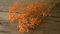 NaDeco Schleierkraut, getrocknet, im Bund, Länge ca. 50-60cm, in Natur und Gefärbt Gypsophila paniculata Gipskraut Trockenblumen Naturdeko Trockendeko für Vasen Pampasgras Deko, Farbe:Orange