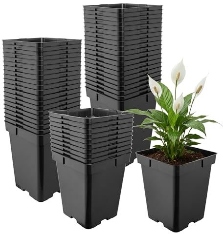 Garronda Pot de Fleur Carré en Plastique 19,5 × H 19 cm (5L) Lot 50 Godets Semis Pots de Pépinière avec Drainage Résistants Intempéries pour Culture Plantes Jardin Serre Intérieur Extérieur GD-0199