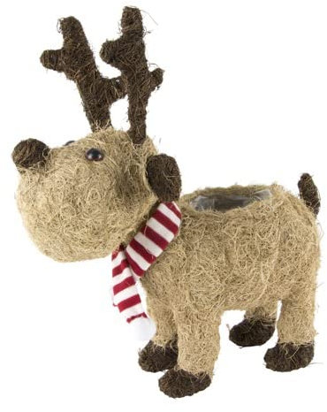 Fargro Christmas Plant Pot Festive Xmas Planter With Lining Paper Home Decoration Cover Decor Wicker Ornaments (Coco Moose Planter)