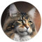 Maine-Coon-Portrait-Puzzle, 1000-teiliges Puzzle für Erwachsene, Premium-Brett aus 100% recyceltem Material für Kinder ab 14 Jahren, mit passendem Poster Quizblatt, 67,5 x 67,5 cm
