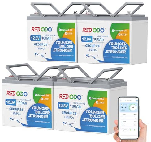 Redodo 12V 100Ah Group24 Bluetooth(4 Pack) Batterie LiFePO4,Batterie Lithium Basse Température Protection,BMS 100A,Petite Batterie LiFePO4 pour RV, Camionnettes, Remorques, Système Solaire