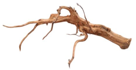 Natunae - Holz Red Spider King Wood, Moorkienwurzel Deko für Aquarium, Zierstamm, Dekoration für Terrarien XS <20 cm