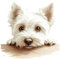West Highland Terrier Vinyl Sticker, Weatherproof, Cover up Mark, Hardwearing & Vibrant, Multi-purpouse Ideal for Door, Phone case, Cups, Wine Glass, Toilet, car All Projects. (West Highland Terrier)