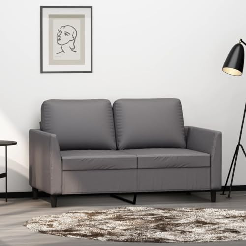 ZQQLVOO 2-Sitzer-Sofa Grau 120 cm Kunstleder, Langlebiges Polstermöbel mit Metallgestell für Wohnzimmer, Bequemes Sitzgefühl durch Dicke Polsterung, Schmutzabweisende Kunstleder