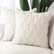 Madizz 2er Set Sanft Plüsch Kurze Wolle Samt Dekorativ Zierkissenbezüge Luxus Stil Kissenbezug für Sofa für Schlafzimmer Beige 65x65 cm Quadrat