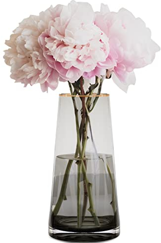 Clear Glass Vase with Gold Rim Decorative Container Vase, Flower Plant Modern Glass Vase for Home or Office Decor, Gift for Wedding Christmas