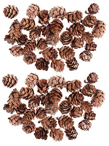 Dualoai 60 Stück Natürliche Kiefernkegel Weihnachten Party Dekoration Pinecone Nüsse