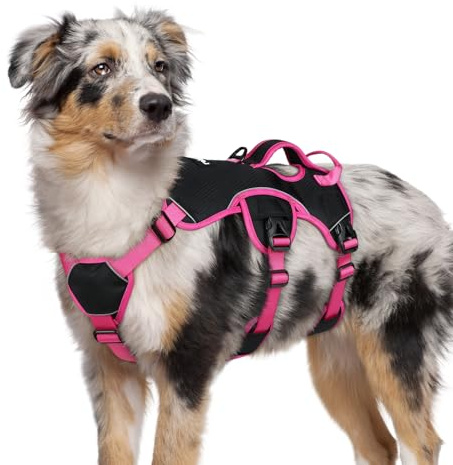 rabbitgoo Hundegeschirr Mittelgroße Hunde，Sicherheitsgeschirr Hund | Sicherer Hebegriff, einfache Kontrolle, Anti-Zug, verstellbar, Reflektierend, für Gassi & Training, M, Schwarz & Rosarot