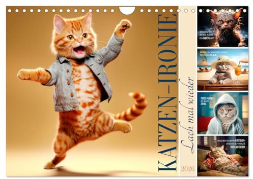 KATZEN-IRONIE Lach mal wieder (Wandkalender 2026 DIN A4 quer), CALVENDO Monatskalender: Samtpfötchen mit amüsanten Sprüchen (CALVENDO Spass)