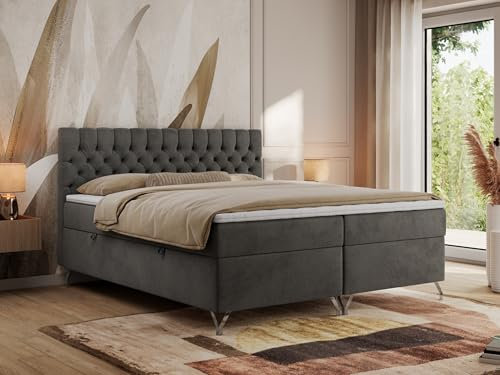MKS MEBLE Boxspringbett 200x200, Bett 200x200 mit Matratze H4, Boxspringbett 200x200 mit Bettkasten und Topper, Polsterbett 200x200 Füße - GRIMALDI - 200x200 - Dunkelgrau Velvet - H4