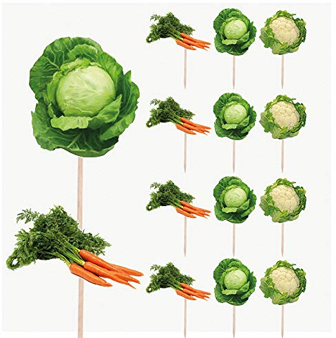 AK Giftshop Vegetable Gardening Allotment Birthday Party Food Cupcakes Picks Decorations Toppers (Pack of 14)