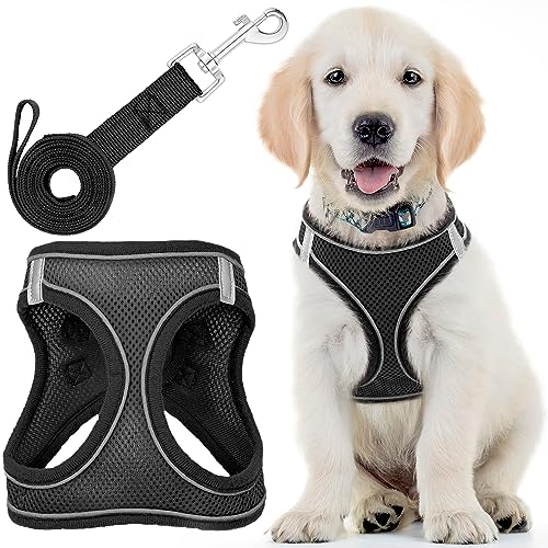 Hundegeschirr mit Leine – Klein, Schwarz – Weich gepolstertes und zugfreies Haustiergeschirr mit reflektierenden Streifen für kleine Hunde – von EcoEarth