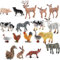 WMLBK 18 Stück gemischte Modell-Tiere,Modellbau Tierfiguren für DIY Landschaft, Miniaturlandschaften, Sandtisch, Landschaftsmodell (18 Stück Modell-Tiere)