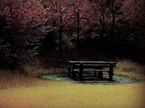 Puzzle 1000 Teile,Lernen Pädagogische Puzzle Spielzeug -Bank, Tisch, Holz, 70x50cm