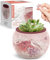 PieceRelax 3D Puzzle Planter - Singing Birds and Flowers - Small Round Plant Pots with Drainage, Home Decor Flower Pots for Indoor Cactus, Succulents Pots [K1100]