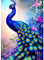 DPIDEA Diamant Painting Bilder für Erwachsene, Diamond Painting Pfau, Diamant Malerei Runde Steine für Zuhause Dekor 30x40 cm