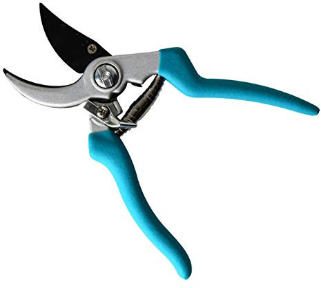 DDNGEJ Sécateur Coupe-Branches sécateur Ciseaux d'élagage aiguiseur de contournement Coupe-Bordures Outil de Coupe Floral bonsaï Fleur sécateur à Main Bleu 10 cm 14,9