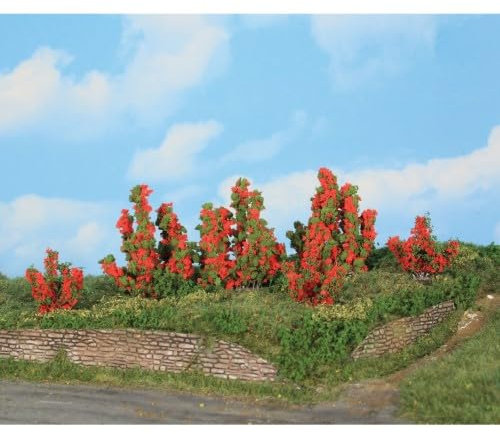 11801 Lot de 6 rosiers 3-6 cm