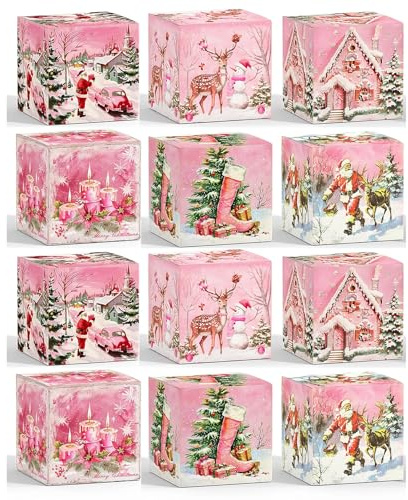 Qaixwuyi 12 Stück Geschenkboxen Weihnachten Keksschachtel Adventskalender zum Befüllen Weihnachten Kalender Christmas Adventskalender für Bäckerei Schokolade Pralinenschachtel Verpackung