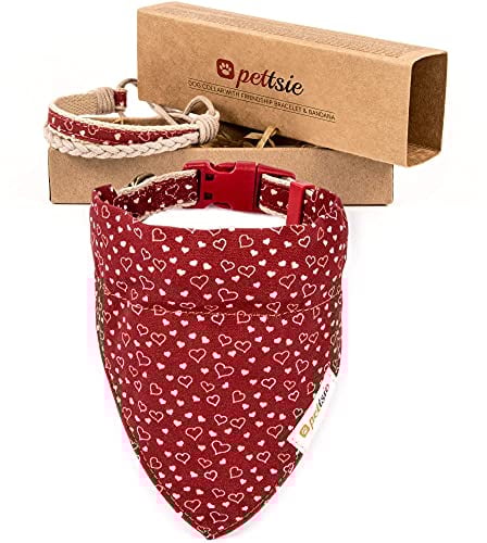 Hundehalstuch mit Halsband und Freundschaftsarmband von Pettsie, Verstellbare Größen S, M, und L, Abnehmbares Bandana Tuch, Attraktive Verpackung Inklusive, Hundeliebhaber, M, Rot
