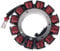 AHL 12V 45A Lichtmaschine Lichtmaschine Stator Spule Zündspule 29987-02A für Road King Screamin Eagle EFI FLHRSEI 2002/Road King Screamin Eagle EFI FLHRSEI2 2003/Road King Shrine SE FLHR 2003-2005
