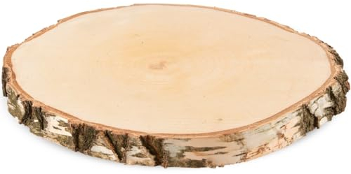Große Holzscheibe zum Basteln oder Dekorieren - 1 Stück naturbelassene Baumscheibe ca. 35 cm (33 - 37 cm) Durchmesser aus Birkenholz - runde Holz Birkenscheibe als Holzdeko Holzplatten