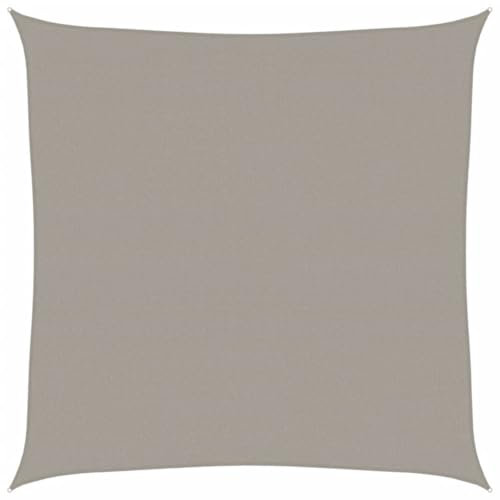 vidaXL Voile d'ombrage 160 g/m² carré Gris Clair 5x5 m PEHD, Voile de Soleil, Voile d’ombrage, Store de Patio, Voile de Pare-Soleil, Voile de Jardin