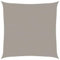 vidaXL Voile d'ombrage 160 g/m² carré Gris Clair 5x5 m PEHD, Voile de Soleil, Voile d’ombrage, Store de Patio, Voile de Pare-Soleil, Voile de Jardin