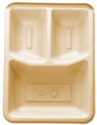SMS HYDROTECH Disposable Plates | 5 Compartment Plate Without Spoon, (Pack of 25) | Eco-Friendly Plates for Dinner, Biodegradable Plates, Use and Throw Plates