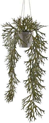 Geweihfarn 70 cm in Olivgrün - Naturgetreue Kunstpflanze im grauen Kunststofftopf 10,5 cm