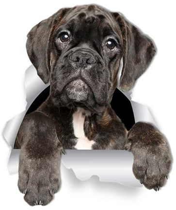 Boxer Hund Aufkleber, 3D Zerrissener Effekt, Wasserfest Reflektierend, Boxer Welpe Aufkleber für Auto, Laptop, Kühlschrank, Haus Dekoration (15cm/5.9 Inch)