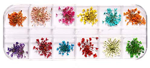 1 Pc Nail Dried Flowers Natural Art Real Dried Flowers Set Nail Applique 3D Nail Art Accessory