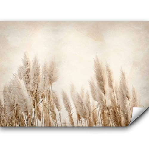 murando - Fototapete selbstklebend Pampasgras, 392x280 cm, Schlafzimmer | Selbstklebend ohne Kleister, Full HD Druck, ideal fürs Wohn- oder Schlafzimmer, schnelle Montage, lichtbeständig, geruchsfrei