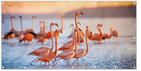 MuchoWow® Balkon Sichtschutz Sichtschutzmatte Balkonbanner Abdeckung für Terrasse Balkon Windschutz Blickdicht Wetterfest 200x90 cm Flamingo - Tiere - Wasser - Rosa
