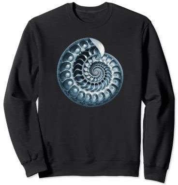 Fibonacci, Spirale, Muschel, Schnecke, Phi, Symbol, goldenes Verhältnis Sweatshirt