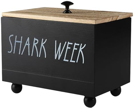 ZoeQide Tampon Aufbewahrung Holz mit Deckel – Schwarzer Tampon Holder mit 3 Fächern & rutschfesten Füßen – Periodenbox Organizer für Badezimmer, Gäste-WC & Schlafzimmer – Geschenk für Frauen