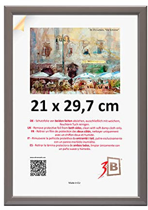 3-B Bilderrahmen ULM 21x29,7 cm (A4) - grau - Holzrahmen, Fotorahmen, Portraitrahmen mit Acrylglas
