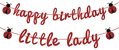 Ladybug Thema Happy Birthday Little Lady Banner – Babyparty / Kindergeburtstag Hintergrund – Baby's 1st Barthday Party Dekorationen Zubehör für Mädchen