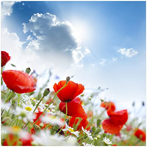 Wallario Glasbild Mohnblumen unter blauem Himmel - 30 x 30 cm Wandbilder Glas in Premium-Qualität: Brillante Farben, freischwebende Optik