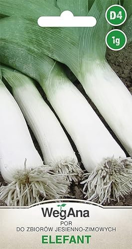 WegAna Graines de poireau 1g Poireau Eléphant Graines de légumes robustes, Graines de légumes Culture Semences pour serre Jardin