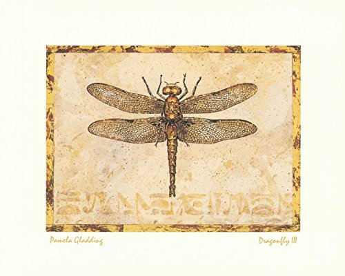 Bild auf gerollter Leinwand, Libelle III Gladding Pamela, horizontal, Kunstdruck, braun, rot, goldfarben, Insekten, Libellen, Blätter, Leinwand, Kunstdruck, 61 x 78 cm